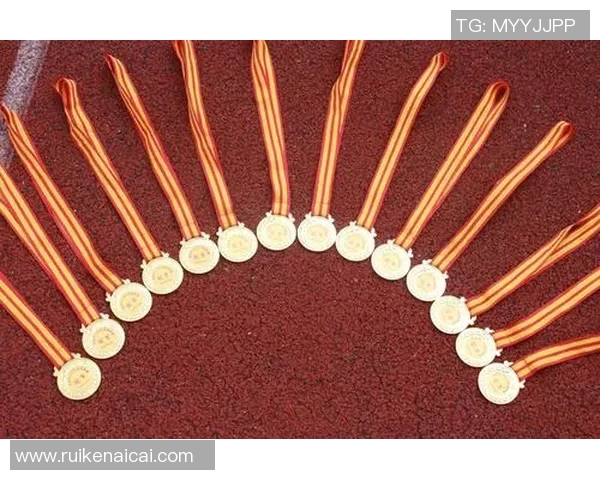 足球明星林浩的成长历程与辉煌成就全解析