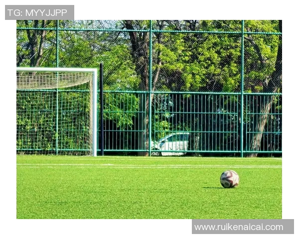 史上最弯的足球明星揭秘他如何在绿茵场上颠覆传统与挑战极限
